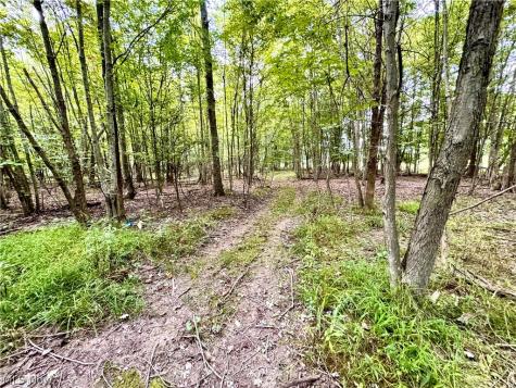 Oyster Road North Benton OH 44601