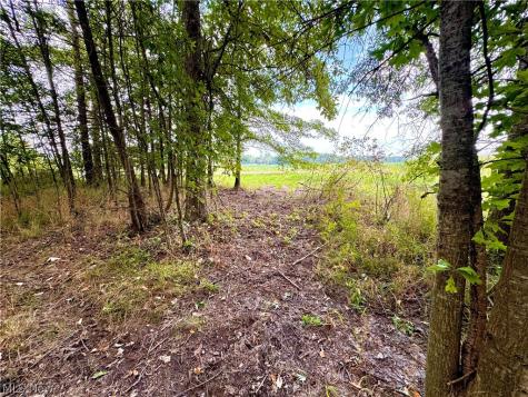 Oyster Road North Benton OH 44601