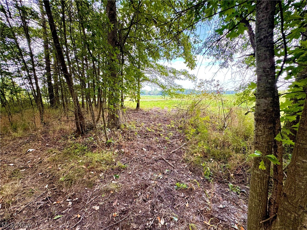 Oyster Road North Benton OH 44601