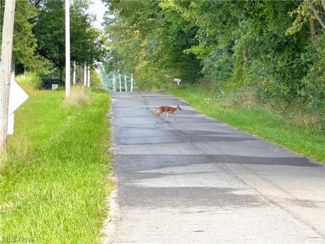 Oyster Road North Benton OH 44601