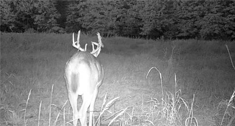 Oyster Road North Benton OH 44601