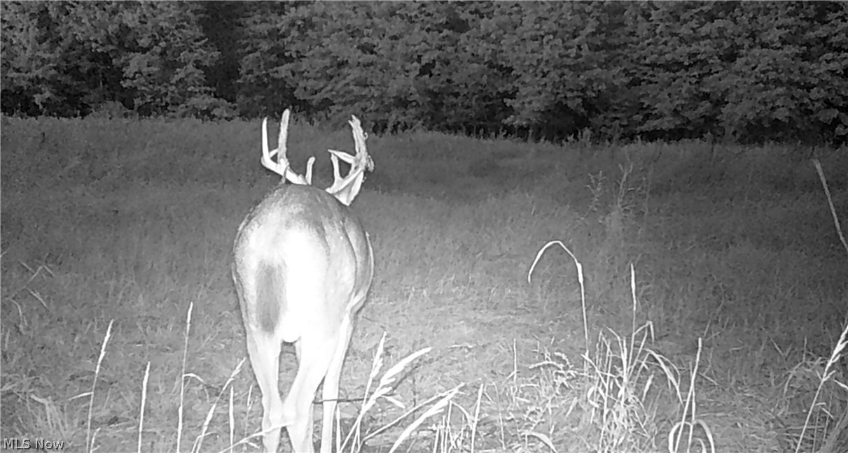 Oyster Road North Benton OH 44601