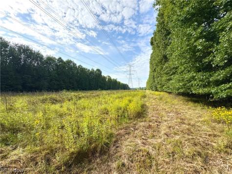 Oyster Road North Benton OH 44601