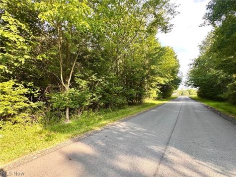 Oyster Road North Benton OH 44601