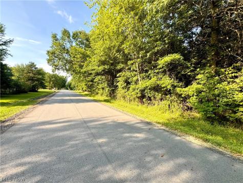 Oyster Road North Benton OH 44601