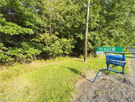 Oyster Road North Benton OH 44601