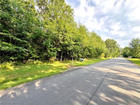 Oyster Road North Benton OH 44601