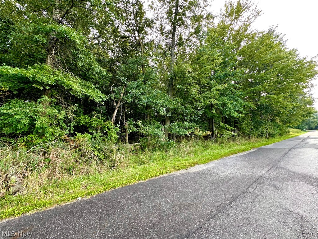 Oyster Road North Benton OH 44601