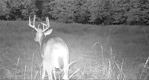 Oyster Road North Benton OH 44601