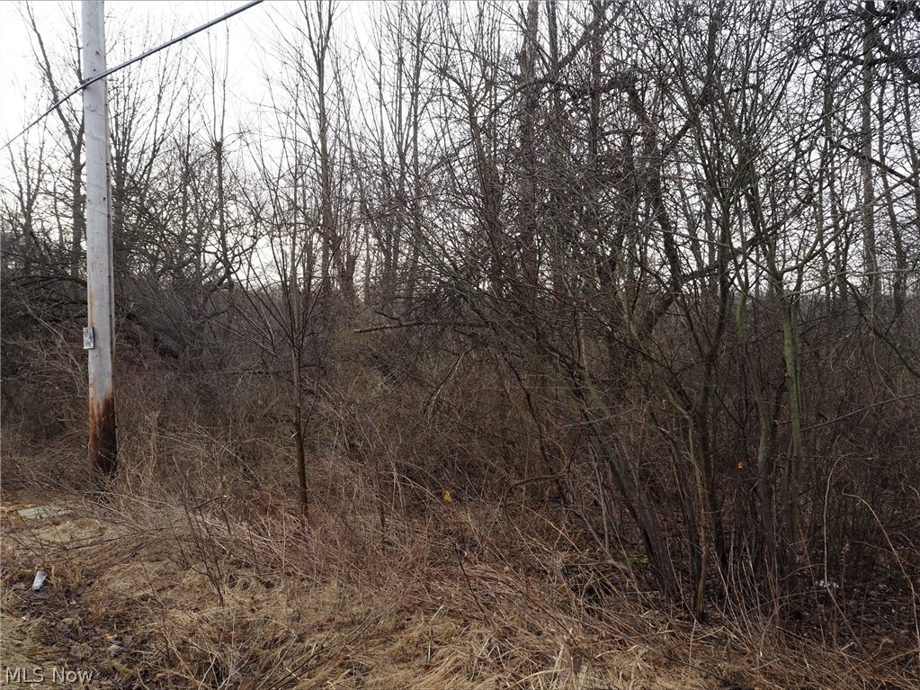V/l 2 Bartholomew Road Chagrin Falls OH 44023