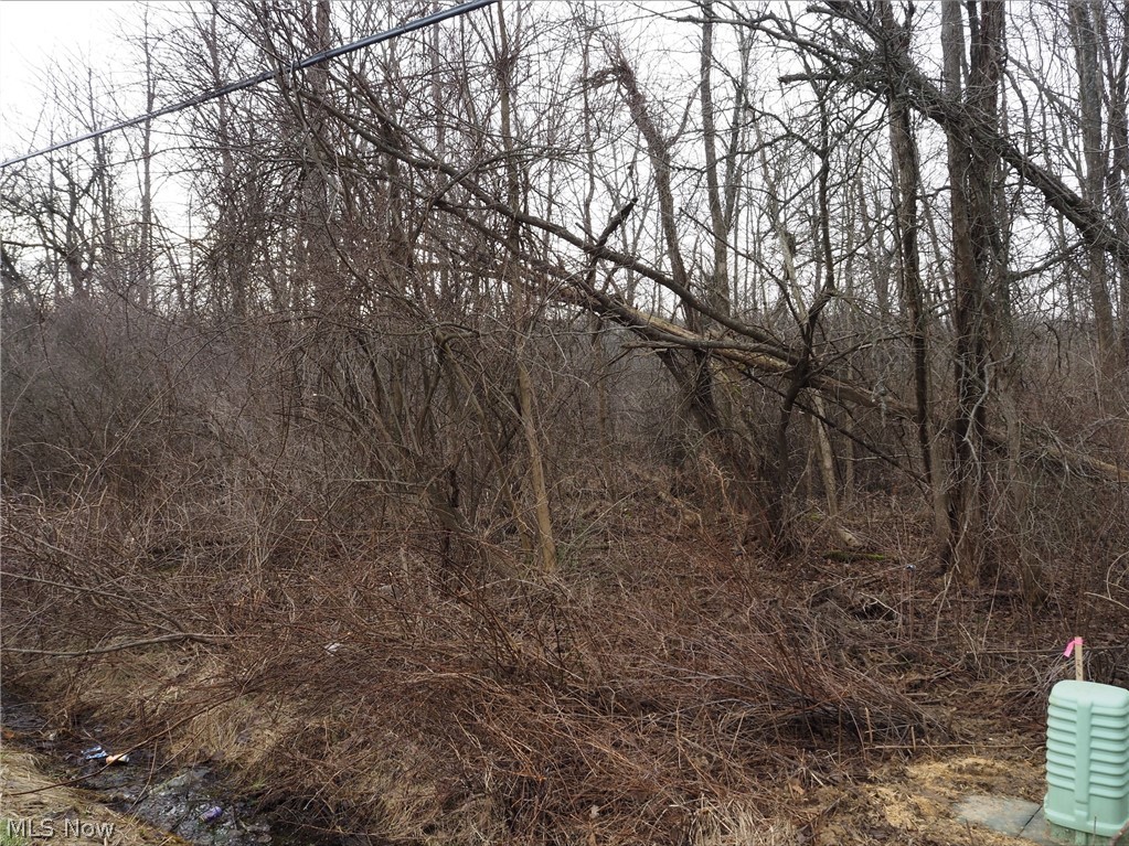 V/l 2 Bartholomew Road Chagrin Falls OH 44023