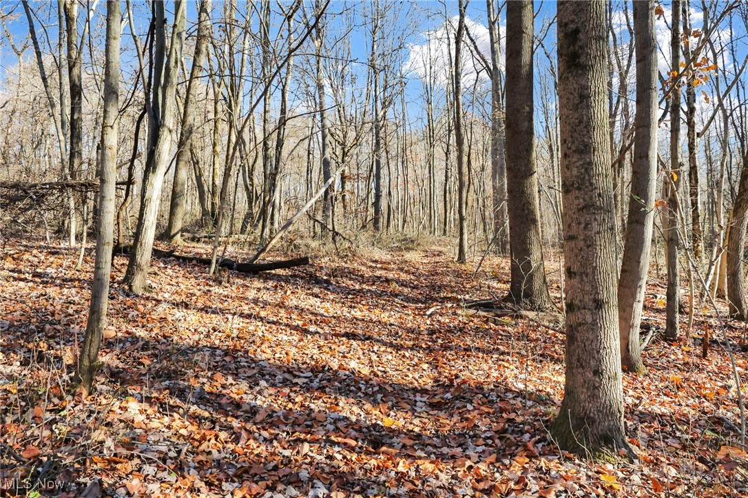 Mulberry Road SE Mount Perry OH 43760