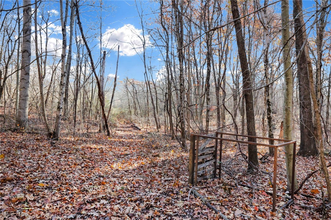 Mulberry Road SE Mount Perry OH 43760