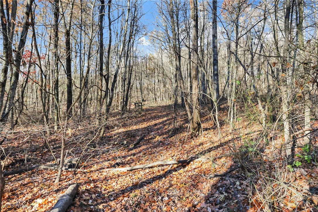 Mulberry Road SE Mount Perry OH 43760