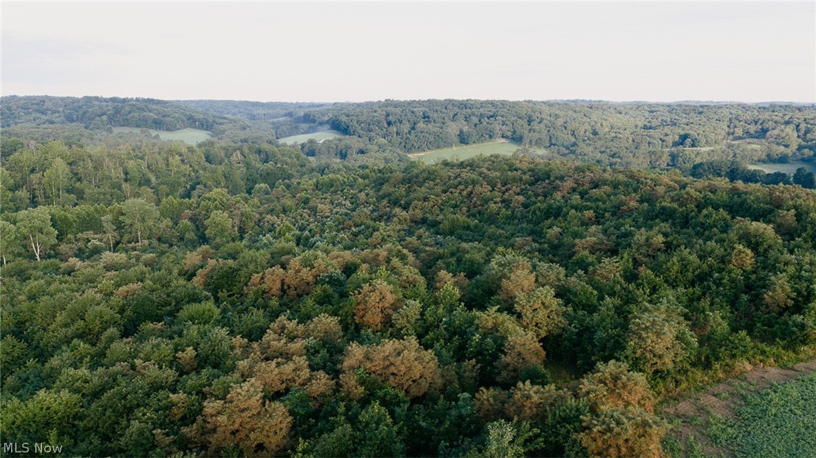 Nickel Road Salineville OH 43945