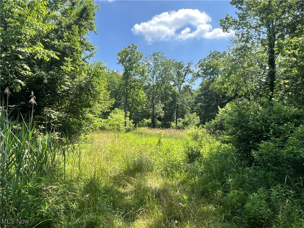 21251 Pitts Road Wellington OH 44090