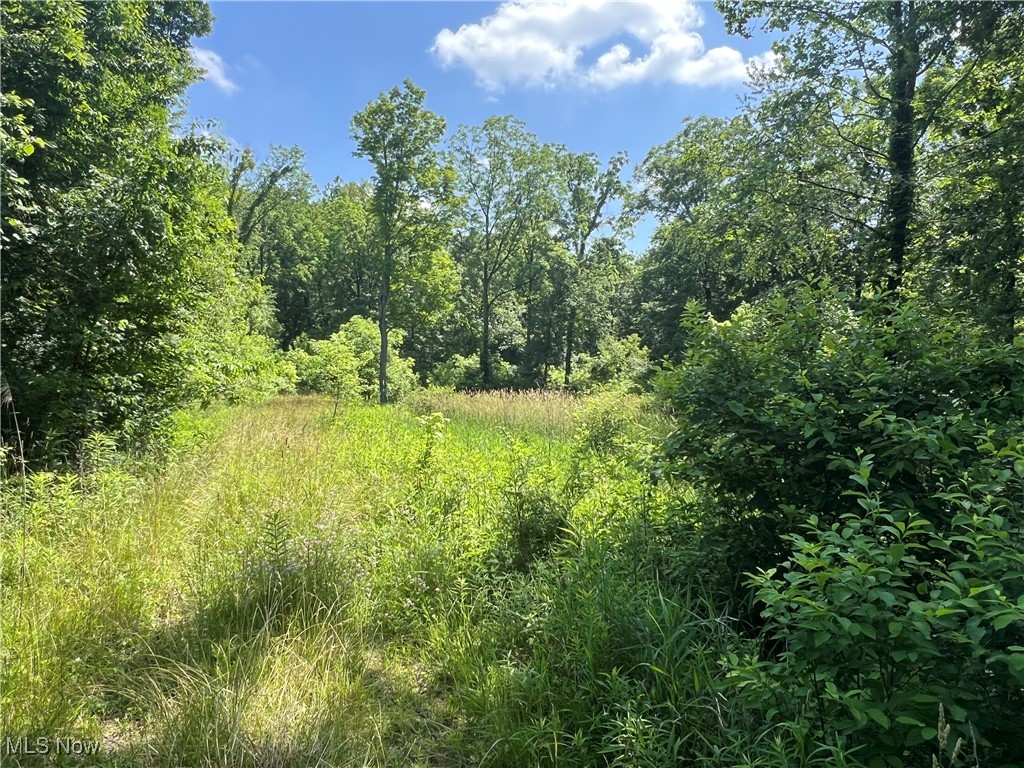 21251 Pitts Road Wellington OH 44090