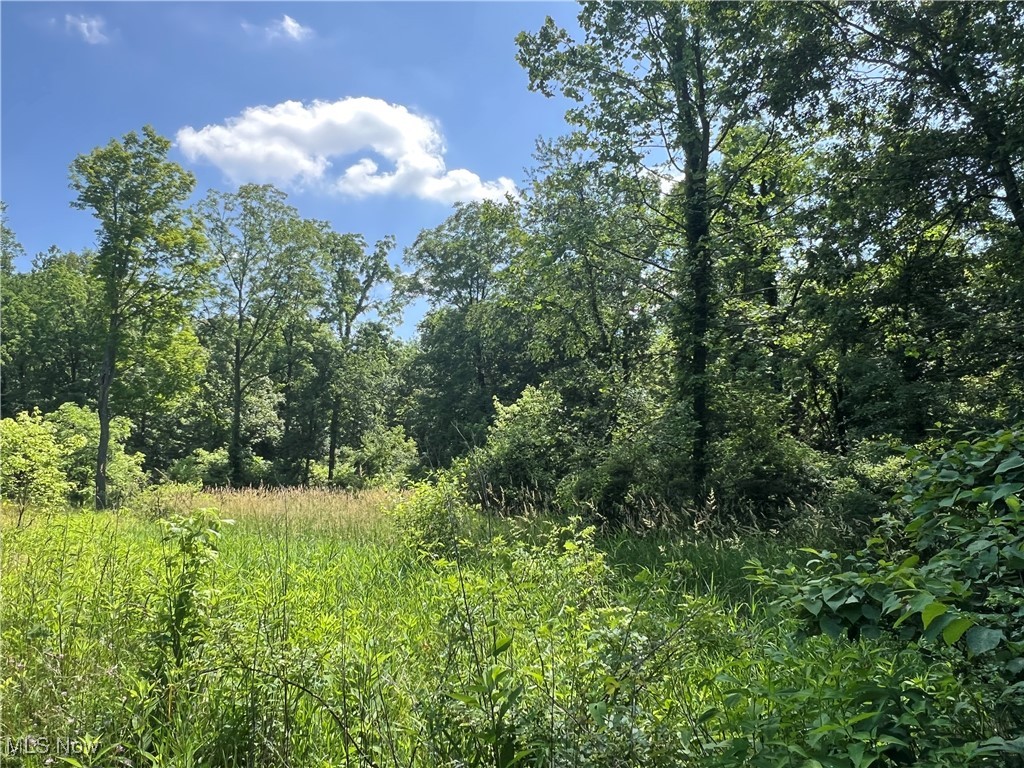 21251 Pitts Road Wellington OH 44090