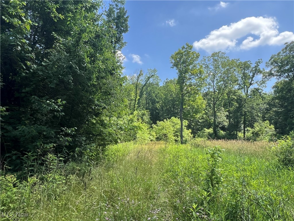 21251 Pitts Road Wellington OH 44090