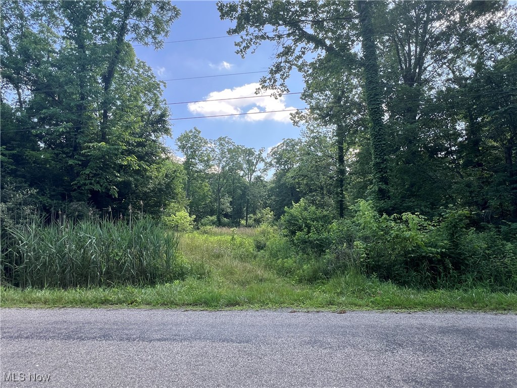 21251 Pitts Road Wellington OH 44090