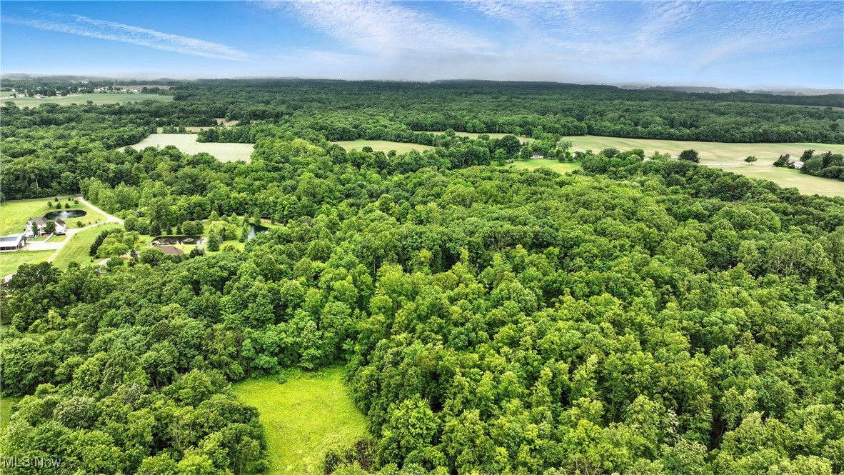 21251 Pitts Road Wellington OH 44090