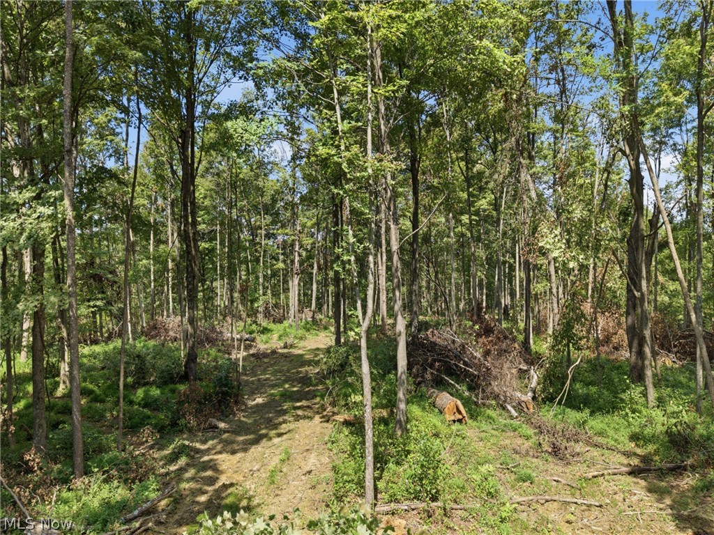 Parcel 3 Wildwood Lake Road Coolville OH 45742