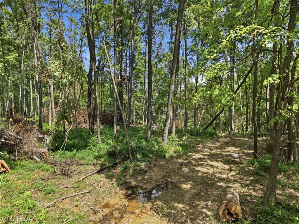 Parcel 3 Wildwood Lake Road Coolville OH 45742