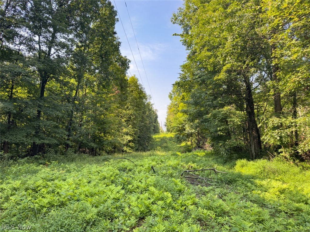 Parcel 3 Wildwood Lake Road Coolville OH 45742