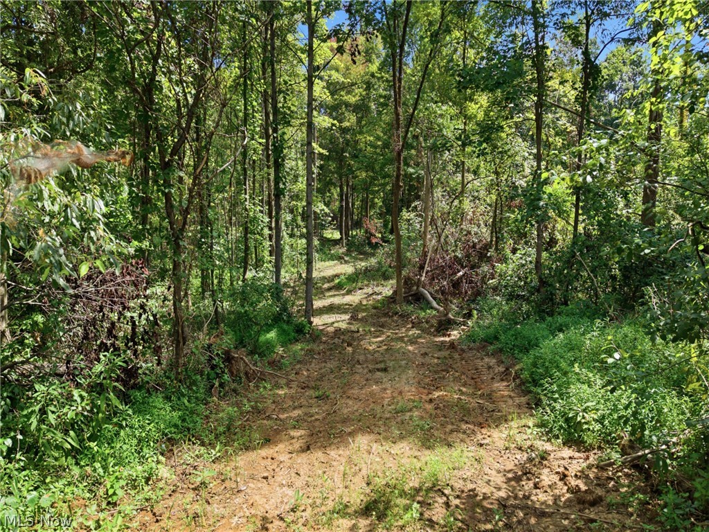 Parcel 3 Wildwood Lake Road Coolville OH 45742