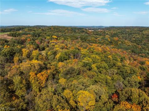 Trail 228 Glenmont OH 44628