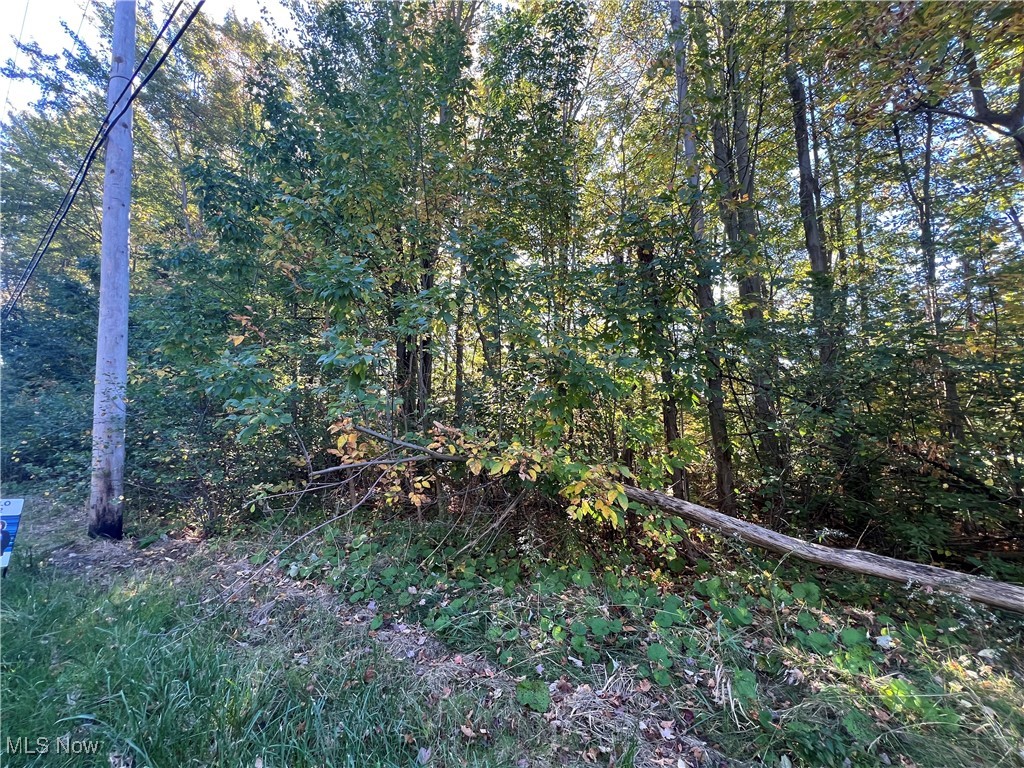 8625 Bainbridge Road Chagrin Falls OH 44023