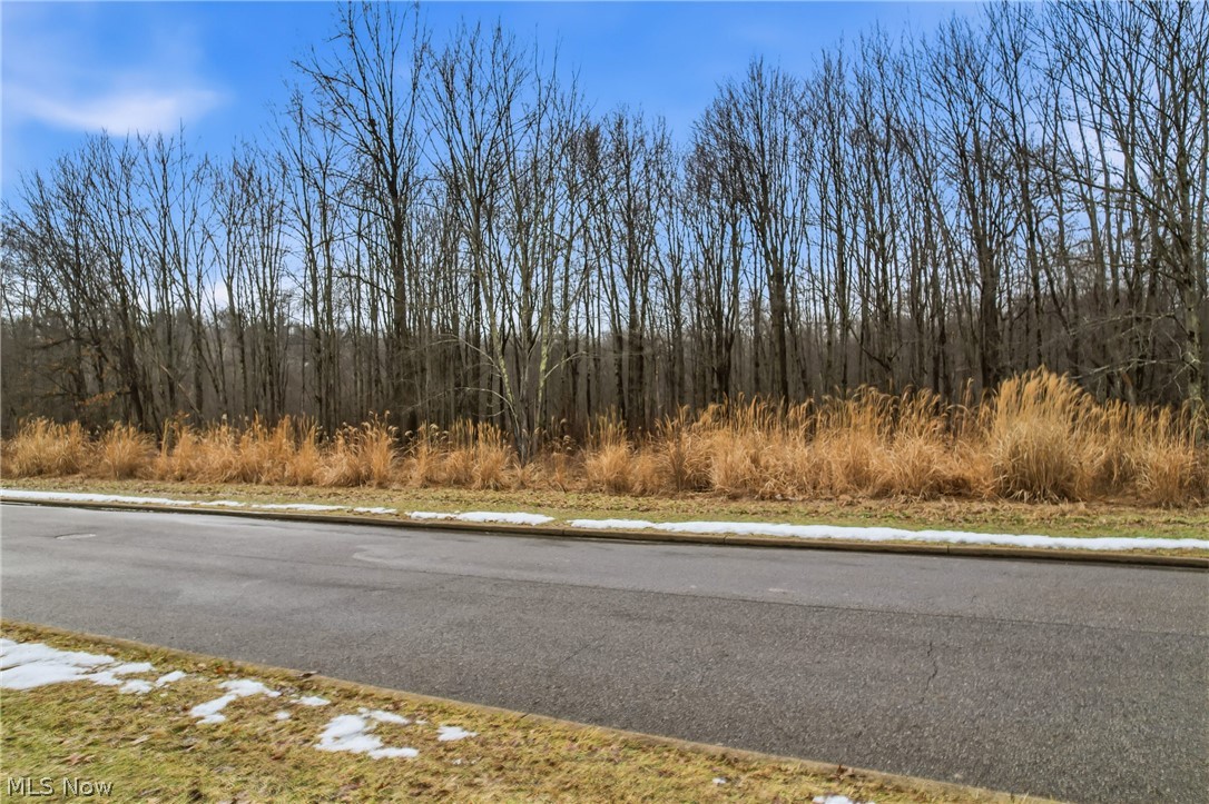 Lakeview Drive Hubbard OH 44425