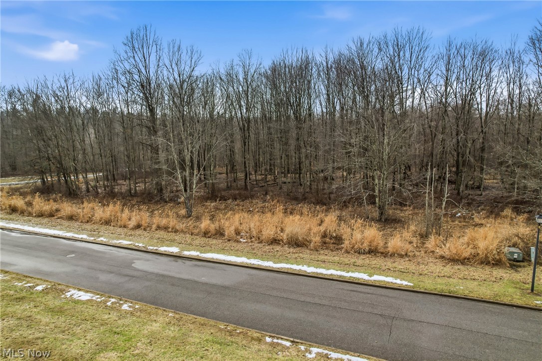 Lakeview Drive Hubbard OH 44425