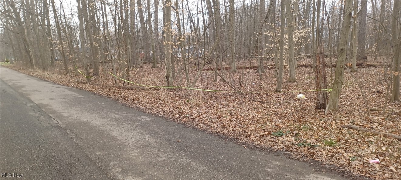 Idylwild Avenue Lake Milton OH 44429