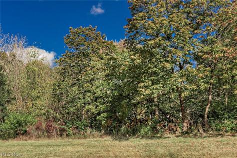 V/l Schady Road Olmsted Twp OH 44138
