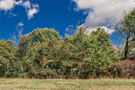 V/l Schady Road Olmsted Twp OH 44138