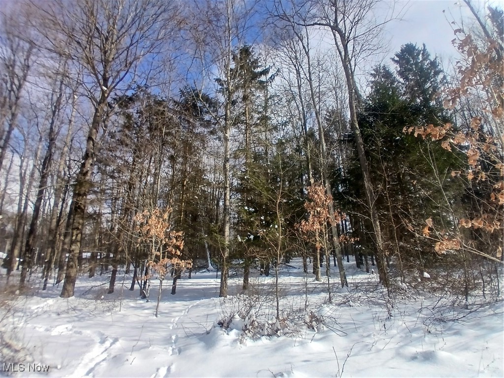35224 Hull Road Salineville OH 43945