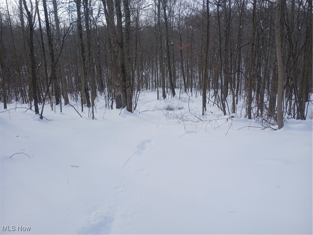 35224 Hull Road Salineville OH 43945