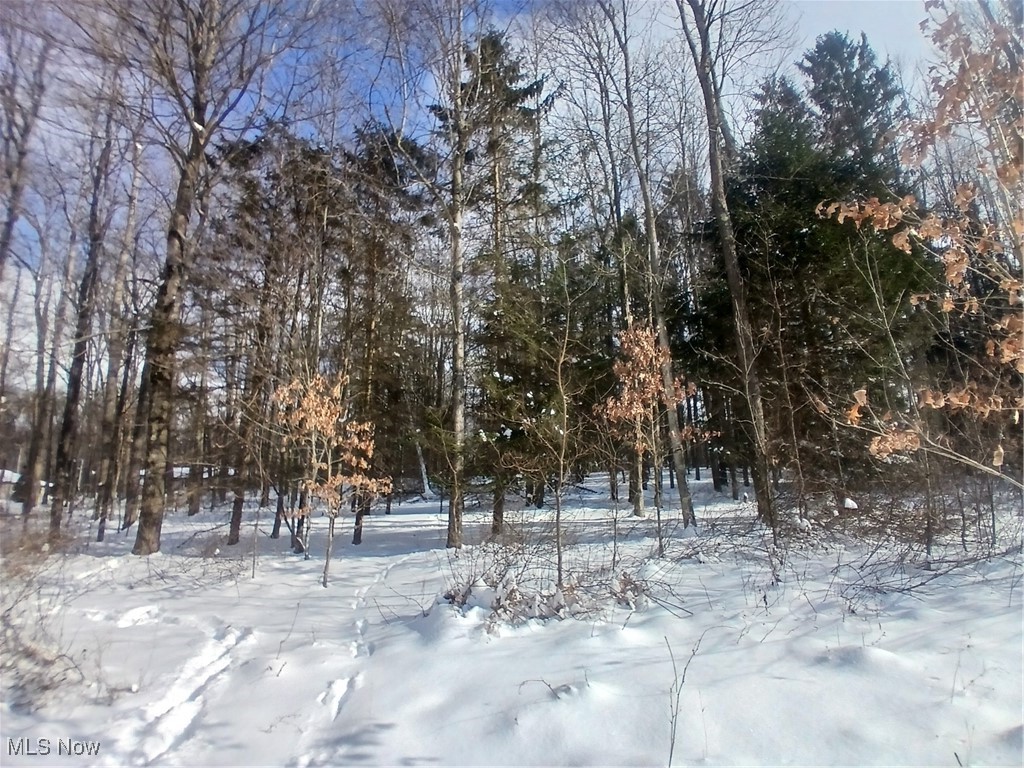 35224 Hull Road Salineville OH 43945