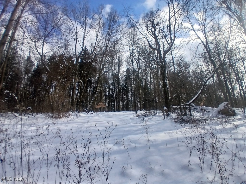 35224 Hull Road Salineville OH 43945