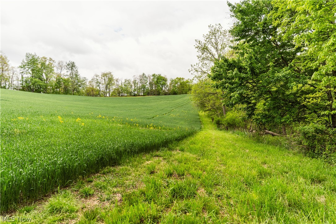 Trail 240 Fresno OH 43824