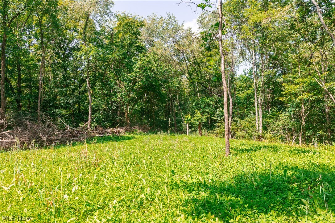 Richards Rd. Road Cambridge OH 43725