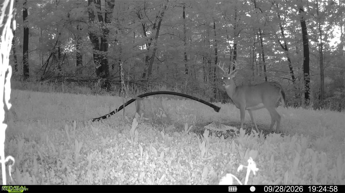 Richards Rd. Road Cambridge OH 43725