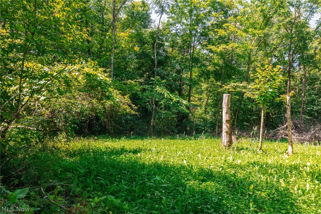 Richards Rd. Road Cambridge OH 43725