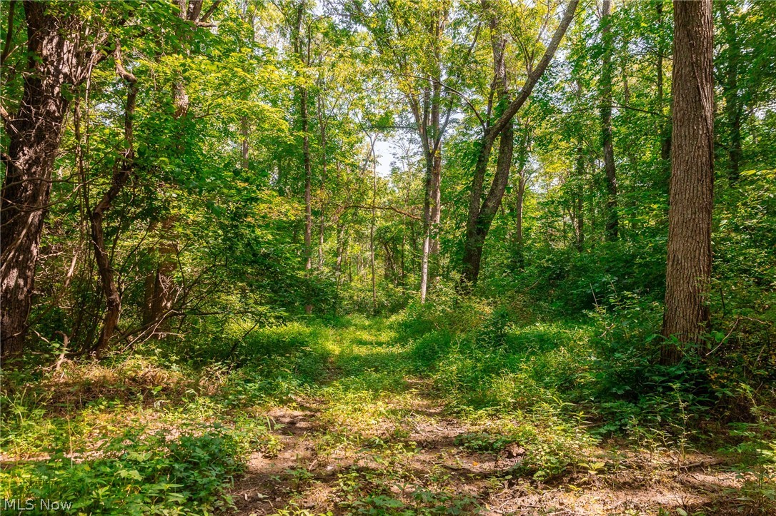 Richards Rd. Road Cambridge OH 43725