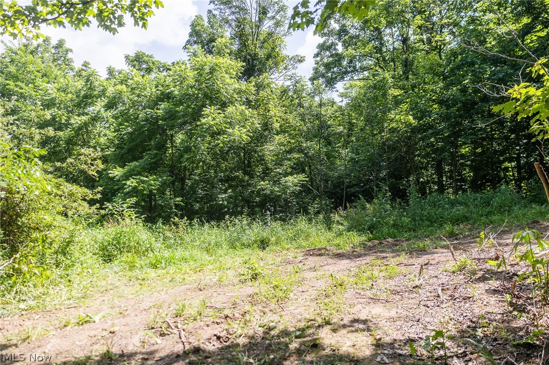 Richards Rd. Road Cambridge OH 43725