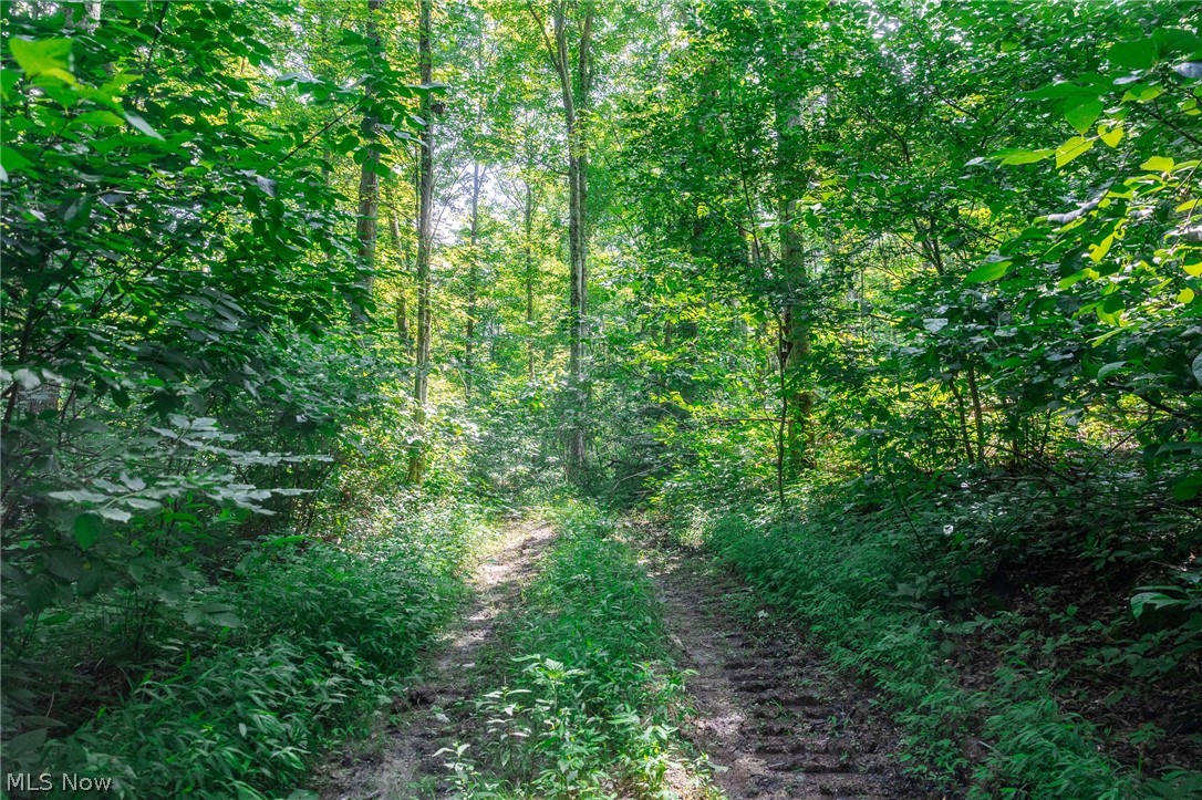 Richards Rd. Road Cambridge OH 43725
