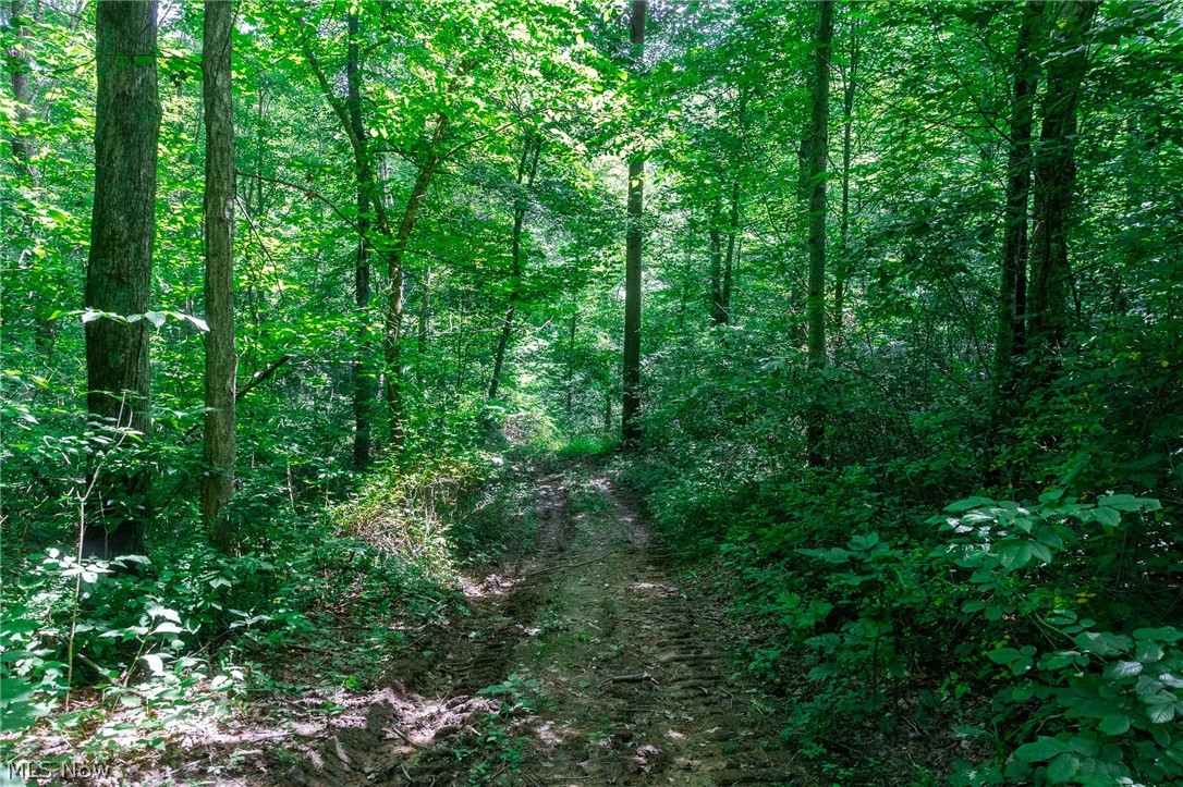 Richards Rd. Road Cambridge OH 43725