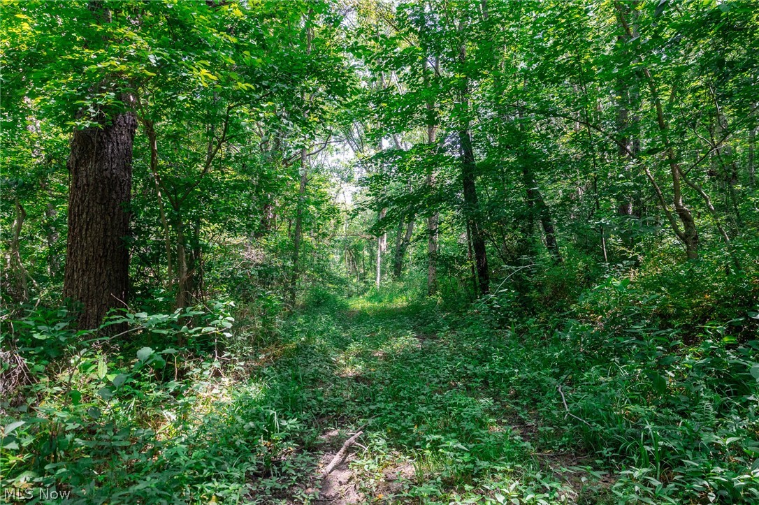 Richards Rd. Road Cambridge OH 43725