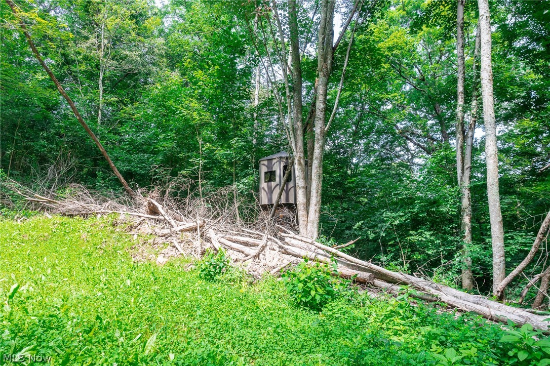 Richards Rd. Road Cambridge OH 43725